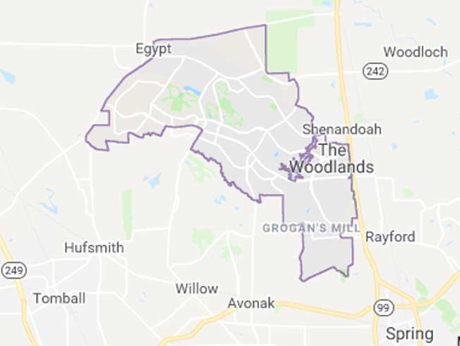 Land Clearing Company in The Woodlands