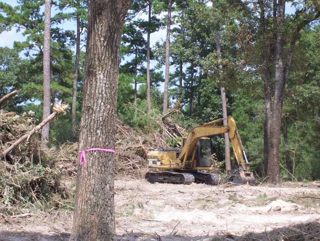 Land Clearing in TX