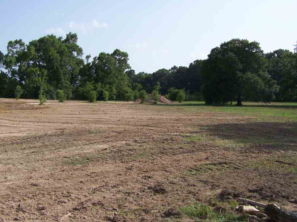 Residential Land Clearing Image 6