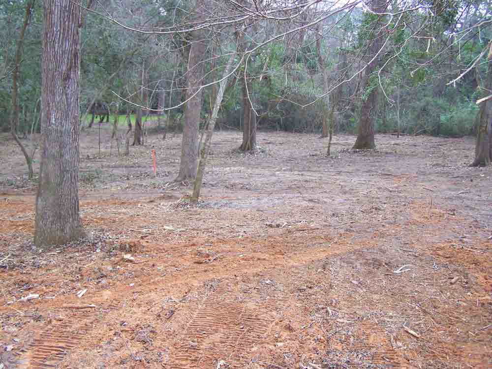 Residential Land Clearing Image 9