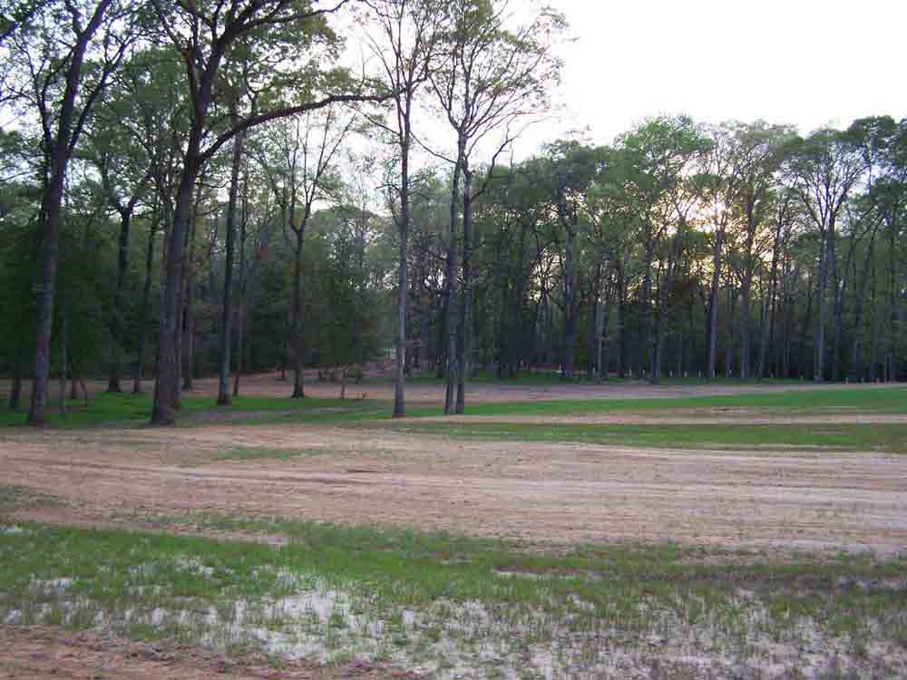 Residential Land Clearing Image 10