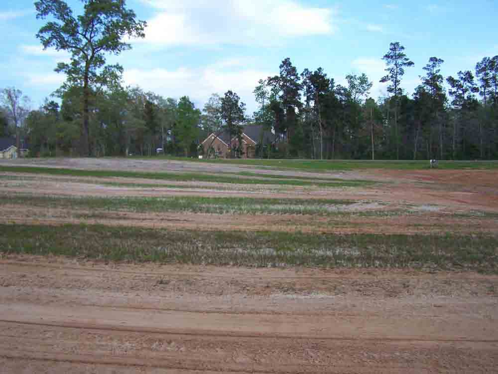 Residential Land Clearing Image 11