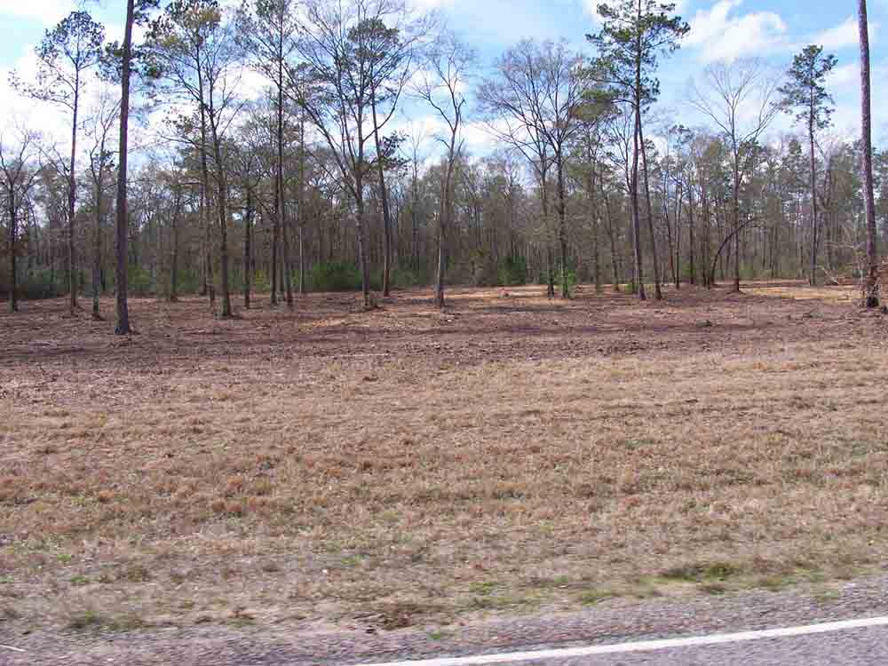 Residential Land Clearing Image 13