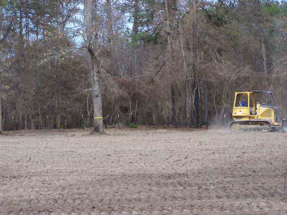 Residential Land Clearing Image 16