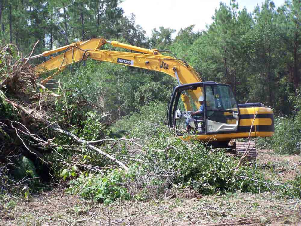 Residential Land Clearing Image 18