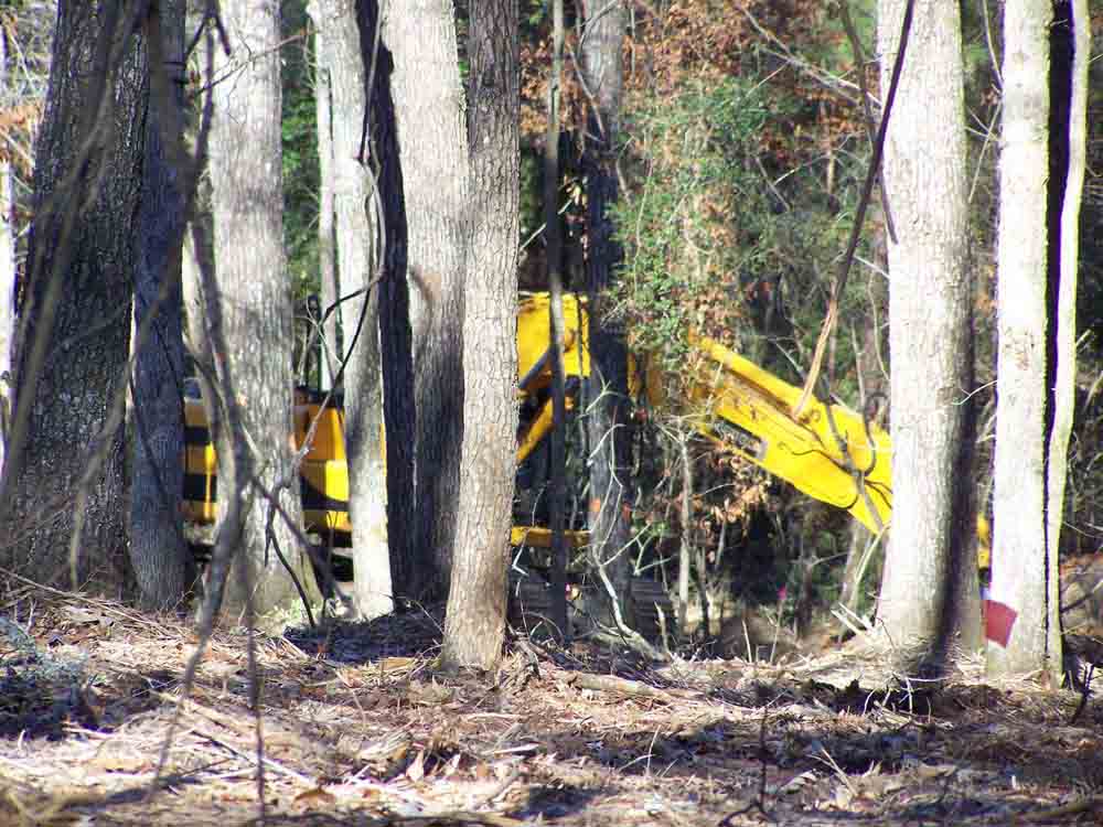 Residential Land Clearing Image 19