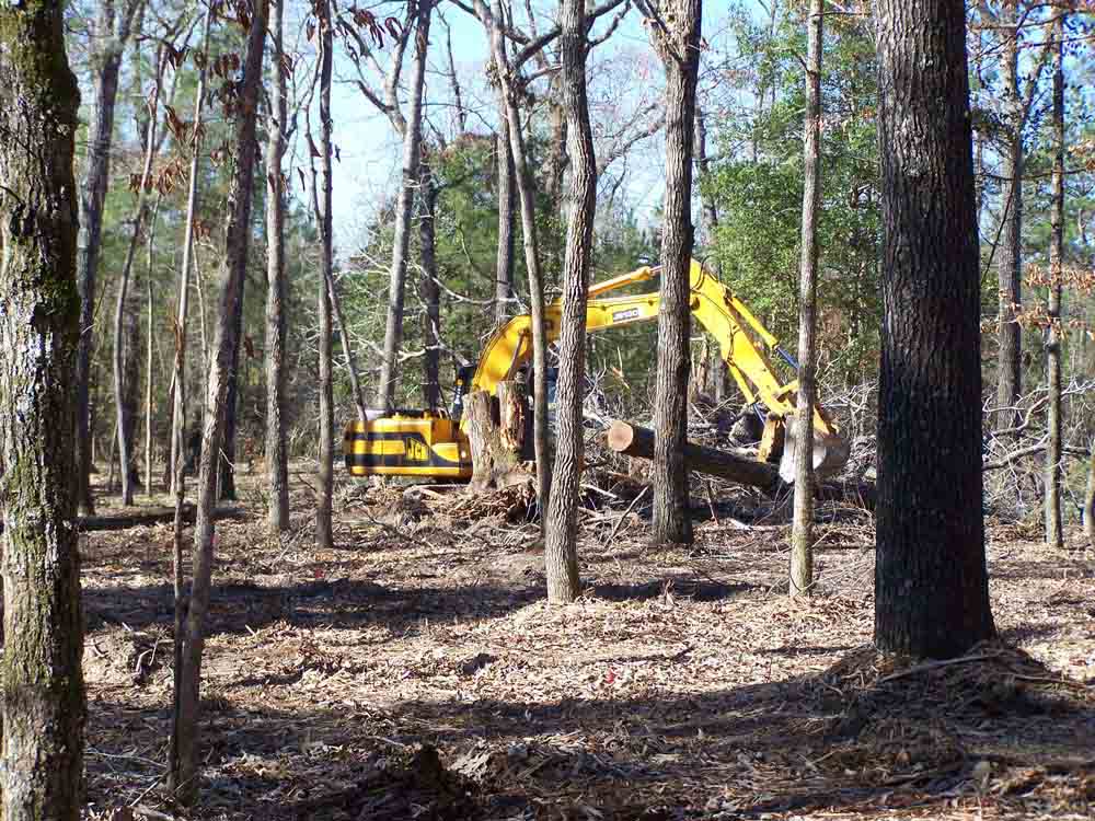 Residential Land Clearing Image 20