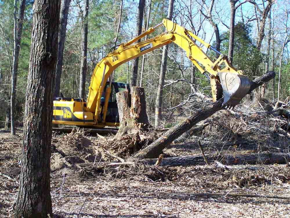 Residential Land Clearing Image 21